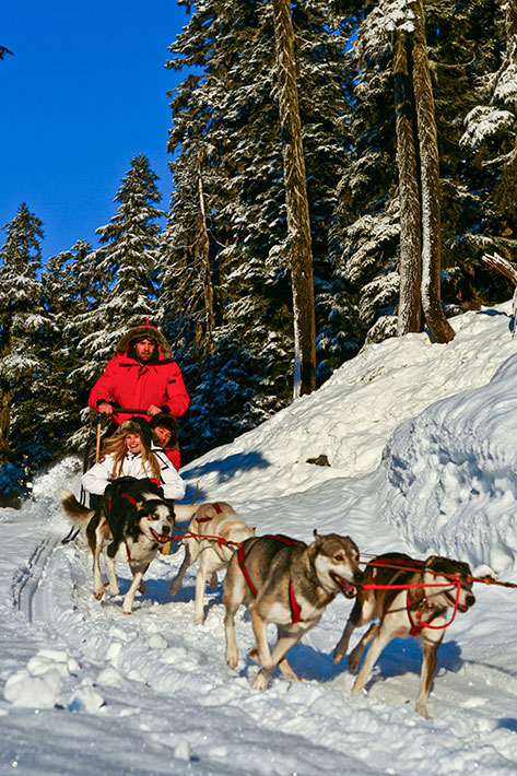 Canadian Wildrness Adventures, Dogsleding, winter activities.