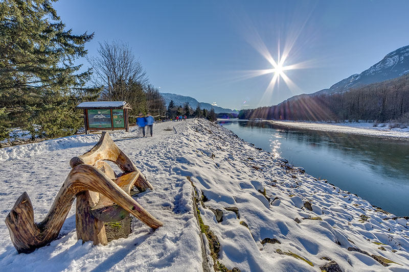 Pemberton, ranch, horses at sunset, winter.