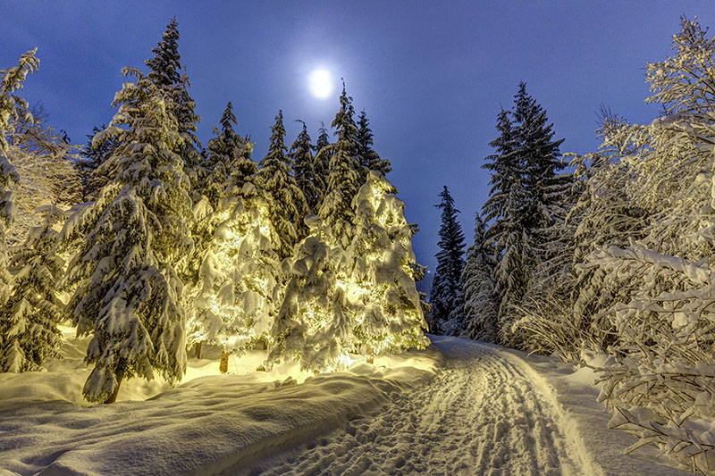 Whistler Blackcomb, downhill skiing, snowboarding.