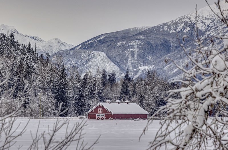 Pemberton Winterfest, family fun. kids.