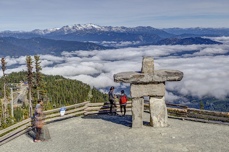 Whistler Black Bear.