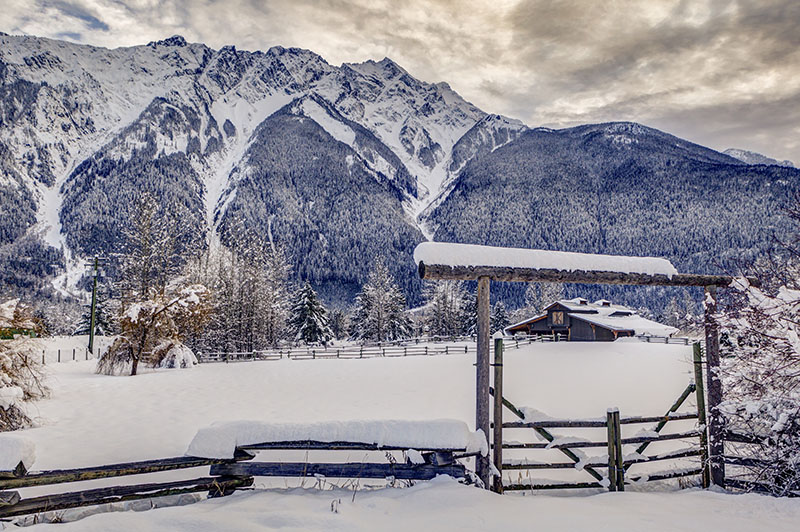 Pemberton, ranch, horses at sunset, winter.