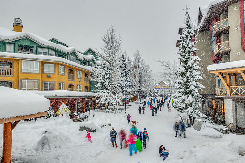 Freas Tracks Breakfast Whistler Blackcomb